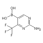 2-Amino-4-(trifluoromethyl)-5-pyrimidineboronic Acid