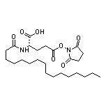 N-Hexadecanoyl-L-glutamic Acid 5-(2,5-Dioxo-1-pyrrolidinyl) Ester