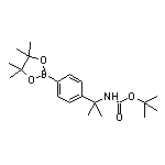 4-[2-(Boc-amino)-2-propyl]phenylboronic Acid Pinacol Ester