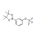 3-(Trifluoromethoxy)phenylboronic Acid Pinacol Ester