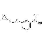 3-(Cyclopropylmethoxy)phenylboronic Acid