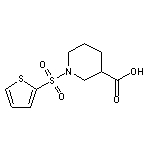 1-(thien-2-ylsulfonyl)piperidine-3-carboxylic acid