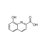 8-Hydroxyquinoline-2-carboxylic Acid