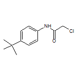 N-[4-(tert-Butyl)phenyl]-2-chloroacetamide