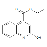 Ethyl 2-Hydroxyquinoline-4-carboxylate