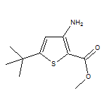Methyl 3-Amino-5-tert-butylthiophene-2-carboxylate