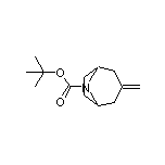 8-Boc-3-methylene-8-azabicyclo[3.2.1]octane