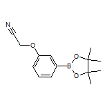 3-(Cyanomethoxy)phenylboronic Acid Pinacol Ester