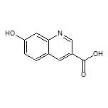 7-Hydroxyquinoline-3-carboxylic Acid