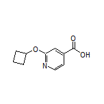 2-Cyclobutoxyisonicotinic Acid