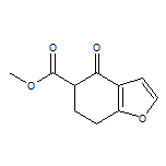 Methyl 4-Oxo-4,5,6,7-tetrahydrobenzofuran-5-carboxylate