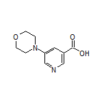 5-Morpholinonicotinic Acid