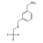 {3-[(2,2,2-trifluoroethoxy)methyl]phenyl}methanamine
