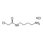 N-(4-Aminobutyl)-2-chloroacetamide Hydrochloride