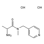 2-amino-N-methyl-N-(pyridin-4-ylmethyl)propanamide dihydrochloride