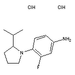 3-fluoro-4-[2-(propan-2-yl)pyrrolidin-1-yl]aniline dihydrochloride