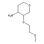 3-(2-methoxyethoxy)oxan-4-amine