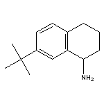 7-tert-butyl-1,2,3,4-tetrahydronaphthalen-1-amine