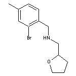 N-(2-Bromo-4-methylbenzyl)-1-(tetrahydrofuran-2-yl)methanamine