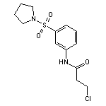3-chloro-N-[3-(pyrrolidin-1-ylsulfonyl)phenyl]propanamide
