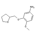 4-Methoxy-3-((tetrahydrofuran-2-yl)methoxy)aniline