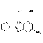 2-(oxolan-2-yl)-1H-1,3-benzodiazol-5-amine dihydrochloride