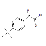 2-[4-(tert-Butyl)phenyl]-2-oxoacetic Acid