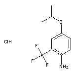 4-(propan-2-yloxy)-2-(trifluoromethyl)aniline hydrochloride
