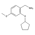[2-(cyclopentyloxy)-4-methoxyphenyl]methanamine