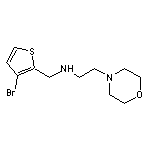 [(3-bromothiophen-2-yl)methyl][2-(morpholin-4-yl)ethyl]amine