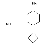 4-Cyclobutylcyclohexanamine Hydrochloride