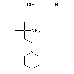2-methyl-4-(morpholin-4-yl)butan-2-amine dihydrochloride