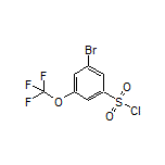 3-Bromo-5-(trifluoromethoxy)-1-benzenesulfonyl Chloride