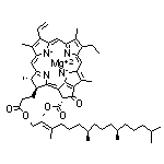 Chlorophyll A