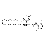 1-tert-Butyl 5-(N-Succinimidyl) N-Palmitoyl-L-glutamate 