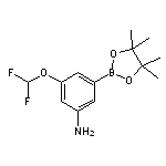3-Amino-5-(difluoromethoxy)phenylboronic Acid Pinacol Ester