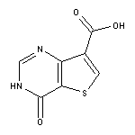 4-Oxo-3,4-dihydrothieno[3,2-d]pyrimidine-7-carboxylic Acid