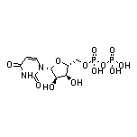 Uridine 5’-Diphosphate