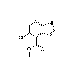 Methyl 5-Chloro-7-azaindole-4-carboxylate