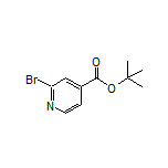 tert-Butyl 2-Bromoisonicotinate