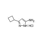 5-Amino-3-cyclobutylpyrazole Hydrochloride