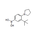 3-(tert-Butyl)-4-(1-pyrrolidinyl)phenylboronic Acid