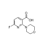 6-Fluoro-2-morpholinonicotinic Acid