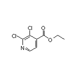 Ethyl 2,3-Dichloroisonicotinate