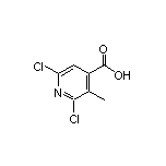 2,6-Dichloro-3-methylisonicotinic Acid