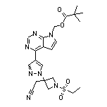 [4-[1-[3-(Cyanomethyl)-1-(ethylsulfonyl)-3-azetidinyl]-4-pyrazolyl]-7H-pyrrolo[2,3-d]pyrimidin-7-yl]methyl Pivalate