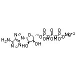 Adenosine 5′-Triphosphate Magnesium Salt 