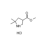 Methyl 5,5-Dimethylpyrrolidine-3-carboxylate Hydrochloride