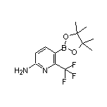 6-Amino-2-(trifluoromethyl)pyridine-3-boronic Acid Pinacol Ester