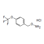 O-[4-(Trifluoromethoxy)benzyl]hydroxylamine Hydrochloride